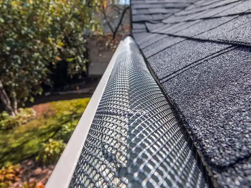 Gutter guard close-up